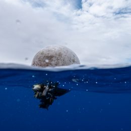 environmental charity, save oceans, donate to ocean conservation, donate to save the ocean, ocean conservancy donation, donate to the ocean, oceana Plastic item floating in water